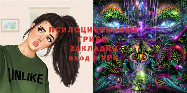 спайс Абаза