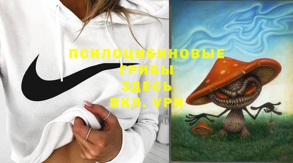 PSILOCYBIN Абдулино