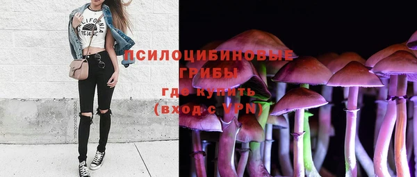 эйфоретик Алексеевка