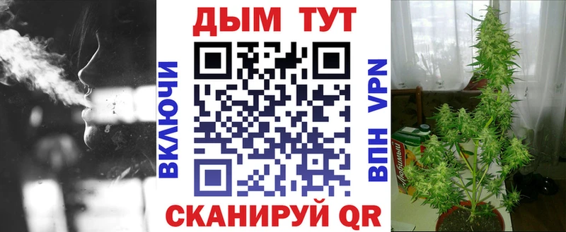 где можно купить   Зуевка  Шишки марихуана индика 